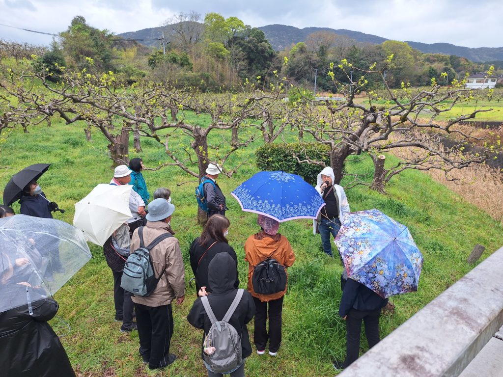 度会氏神社跡(わたらいのうじがみやしろあと)